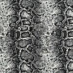 Soho Apparel Soho‎ Apparel Skirt Snakeskin Print Pencil High Waist Career Casual Size Small Photo 3