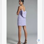 Anthropologie  Hutch Ruched Tulle Bow Mini Dress Size 4.B27 Photo 2