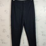 Ann Taylor LOFT Blue Dress Pants Photo 0