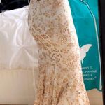 Colette Sparkly Gold And White Prom Dress Size 00 Photo 1