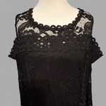 Bisou Bisou  Michele Bohbot Black Lace Cold Shoulder Dress Women’s Size 16 Photo 4