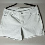 White Denim Jean Shorts with Classic Straight Cut Size 12 Photo 1