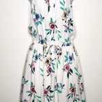 Streetwear Society NWT  Floral Mini Dress Size L Photo 0