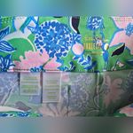 Lilly Pulitzer Corso Pant UPF 50+ Spearmint Golf Till You Drop Woven Size 4‎ Blue Photo 12