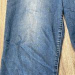 Democracy Artisan Crafted Jeans Size 14 Photo 11
