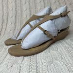 Splendid  Women's Brooklyn V-Strap Wedge Thong Sandal in Mushroom Photo 2