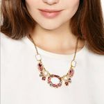 Kate Spade  Pink Jeweled Statement Necklace Photo 6
