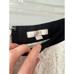 Loft Skirt Women's 6 White Lace Floral Knee Length Cocktail Coquette Office Photo 1