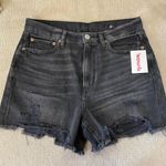 American Eagle Black  Shorts Photo 0