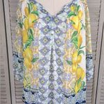 Anthropologie  (Fig & Flower) Lemon Print Sheer Blouse-1X Photo 0