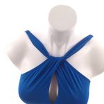 Bleu Rod Beattie #023 Blue Rod Beattie Urban Goddess High Neck Keyhole One Piece Swimsuit Photo 4