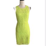 J.Crew  Collection Yellow Neon Lace  Pencil Crew Neck Knee Length Dress Size 4 Photo 1