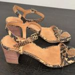 Madewell The Hollie Ankle-Strap Sandal in Snake Embossed Leather Sz 7 Photo 2