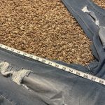 NWT KanCan Denim Jean Overalls XL Blue Photo 7