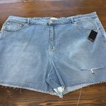 Eloquii NWT  Jean shorts Photo 0