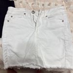 American Eagle Outfitters Skirt Photo 0