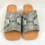 Treasure & Bond Womens Sandals Slides Wedge Heel 7 Photo 2