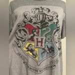 Harry Potter EUC  Grey Hogwarts Houses tee size medium Photo 1
