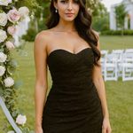 Jasmine NWT $165  Dress Women's Size 12 Black‎ Scrunch Lace Sleeveless  DAXc Photo 0