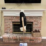 Romeo + Juliet Couture NWT zebra patterned sequin crop top / M Photo 7