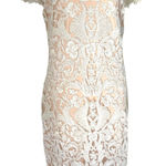 Tadashi Shoji Corded Embroidery on Tulle Cap Sleeve Dress White on Beige Size 12 Photo 0