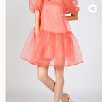 Beulah  TAN Fine Organza Mini Dress w/Slip, Size s Dress Size M New w/Tag $168 Photo 13