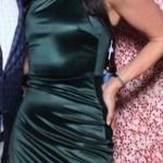 Windsor Satin Dress Photo 4