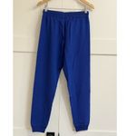 Negative Underwear Club Jogger in Royal, Size Small Photo 7
