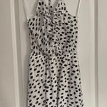 BCBGeneration NWT Black And White Leopard Print Mini Dress Photo 0
