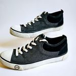 UGG  Australia Evera Lace Up Low Top Sneakers Size 7.5 Photo 3