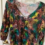 Peter Nygard FINAL MARKDOWN  top medium Photo 0