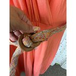 Pure Collection Surplice V Photo 3