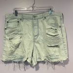 American Eagle  90s boyfriend distressed denim short Photo 0