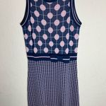 Red Valentino  Garavani Blue & Pink Polk-a-dot/Striped‎ Printed Mini Dress Photo 5