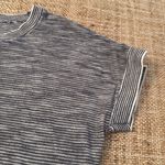 Loft Ann Taylor  Striped Short Sleeve Knit Sweater Top Blue White Small Photo 1