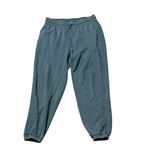 Aerie  the Chill Jogger Royal Palm Green Medium Photo 3