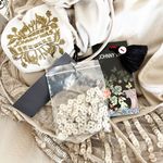 Johnny Was NWT  Champagne Beaded Lace  Mesh Dress Size‎ XS Photo 8