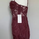 Tobi | Victoria Wine Lace Bodycon Dress | NWT XSmall Photo 3