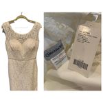 Christina Wu NWT Celebration Wedding Dress (6) Photo 1