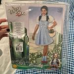 Dorothy Costume Photo 1