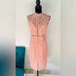 Bardot Gorgeous midi dress for spec.occasion 🌷🌷🌷 Photo 4