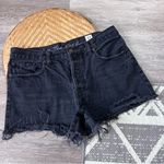 Free People  Sofia black distressed‎ denim shorts women’s size 31 Photo 1