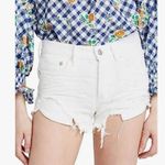 We The Free FREE PEOPLE  Loving Good Vibrations Shorts Size 30 NWT Photo 0