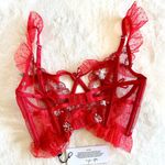 For Love & Lemons NWT Rouge Red Underwire Bustier Top - XXS Photo 4