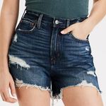 American Eagle AEO 90s Boyfriend High Rise Denim Distressed Jean Shorts Photo 0