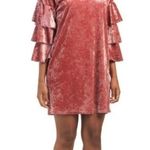 Kim & Cami • Pink Crushed Velvet Dress Size M Photo 2