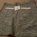 ZARA NWT  Skirt L Photo 2