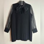 ZARA Black Organza Bow Tie Neck with Sheer Puff Long Sleeves Dress size XXL Photo 2