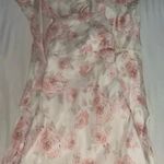 Revolve Gabriela Maxi Dress in Blush Floral Photo 2