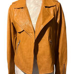 Skies Are Blue Anthropologie  Faux Leather Jacket size XS Photo 0